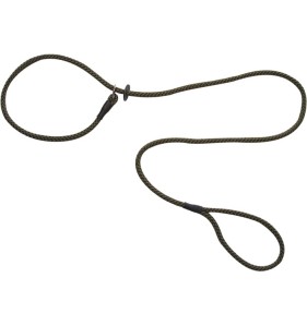 Laisse-lasso