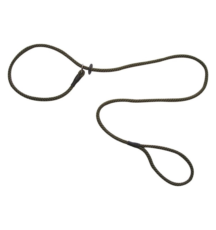 Laisse-lasso