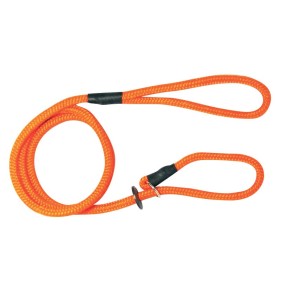 Laisse-lasso