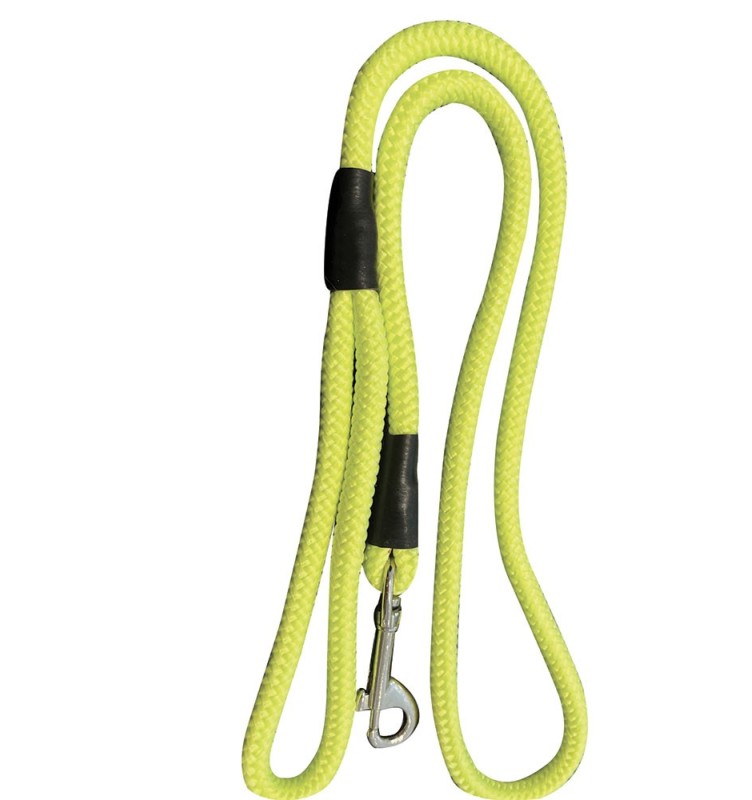 Laisse mousqueton 1.10 m