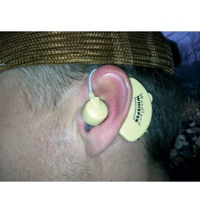 Amplificateur Woodland Whisper BTE