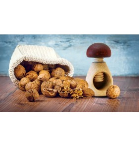 Mushroom nut cup