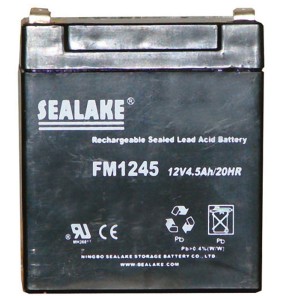 Batterie 12 V rechargeable