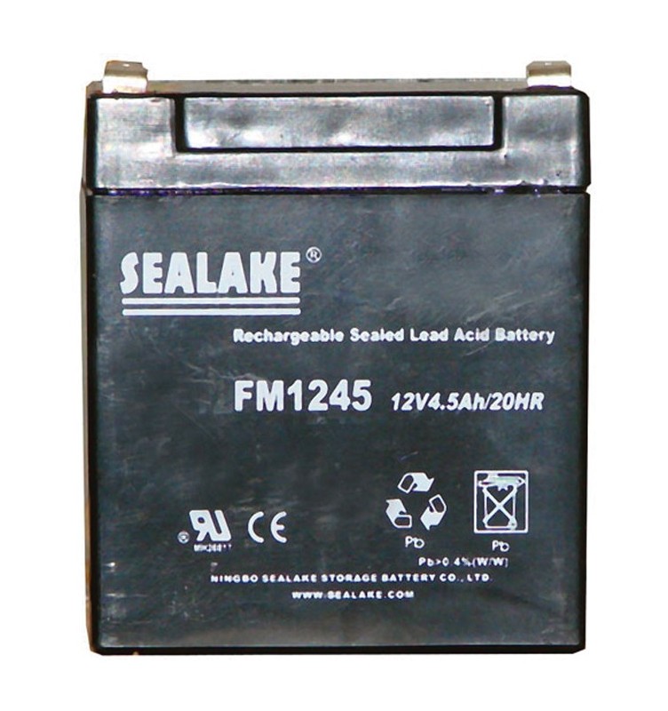 Batterie 12 V rechargeable