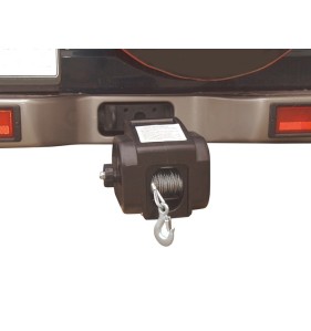 Electric winch